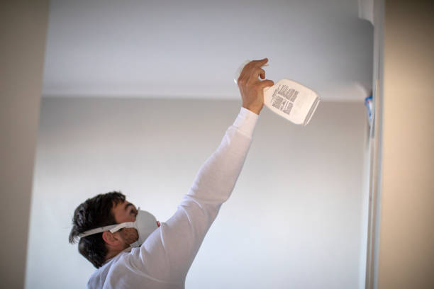 Best Mold Remediation  in Linglestown, PA